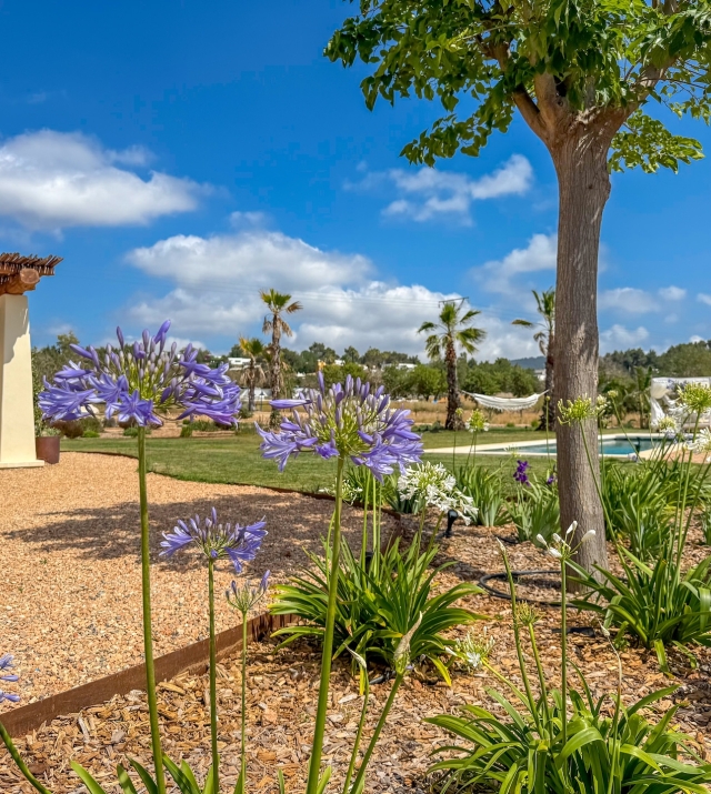 Resa estates Ibiza finca can Tumas for sale gardden.jpg